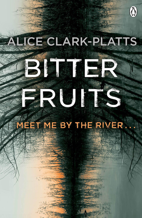 Book Novel Crime Erica Martin Series