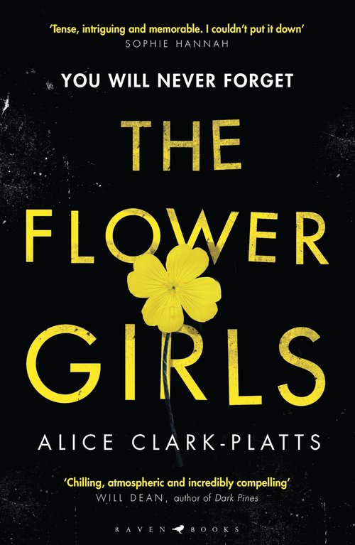 Book Novel